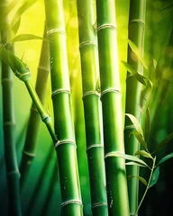 Gordijnen bamboo forest background © Master-L