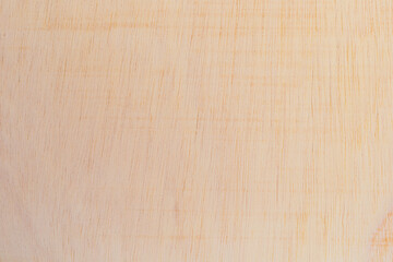 Light rough textured cut surface of an African tree. Wood background or blank for design