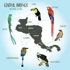 National birds of central america - obrazy, fototapety, plakaty