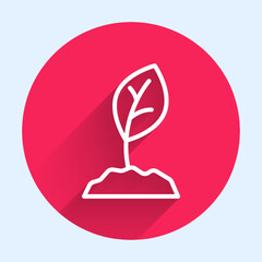 White line Sprout icon isolated with long shadow background. Seed and seedling. Leaves sign. Leaf nature. Red circle button. Vector