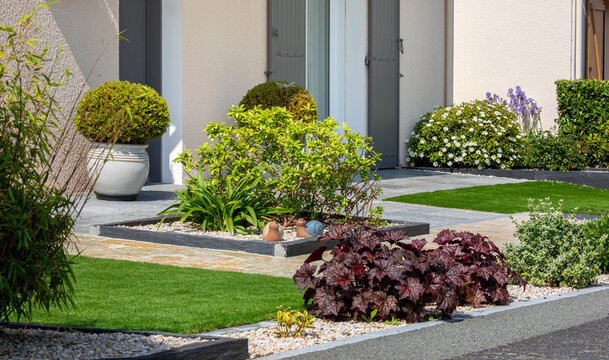 Plante et arbuste dans un jardin moderne au pied d'une maison r&eacute;alis&eacute; par un paysagiste.