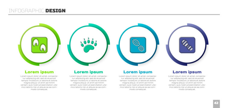 Set Horse paw footprint, Bear, Human footprints shoes and . Business infographic template. Vector