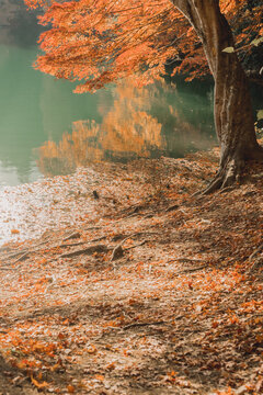 南伊奈ヶ湖　紅葉の絶景