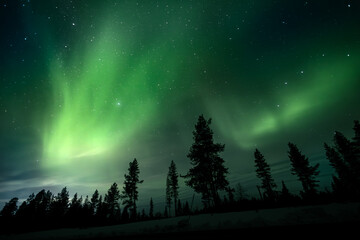Magnifique aurore boréale dans le ciel de la laponie en suède région kiruna au delà du cercle polaire arctique - 668715471