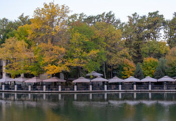 Fototapeta na wymiar Urban landscape in autumn. Almaty Park of Culture and Recreation. Trees on the shore of a pond with yellow leaves. Beautiful landscape.
