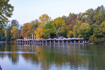 Urban landscape in autumn. Almaty Park of Culture and Recreation. Trees on the shore of a pond with yellow leaves. Beautiful landscape.