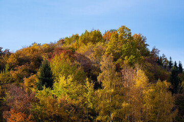 Fototapeta premium Autumn landscape in the mountains. Colorful bright colors in the mountains of Almaty.