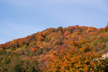Autumn landscape in the mountains. Colorful bright colors in the mountains of Almaty.