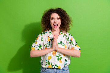 Photo of funky excited lady wear print shirt two arms together waiting shopping isolated green...