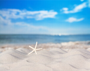 Fototapeta na wymiar View of a beach with starfish on the sand under the hot summer sun, selective focus. Concept of sandy beach holiday, background with copy space for text