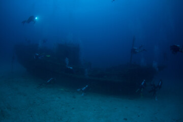 A diver next to the shipwreck