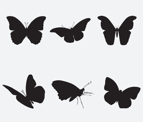 isolated black silhouette of a butterfly , vector collection