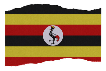 Uganda flag on torn paper