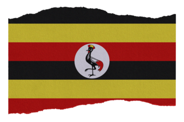 Uganda flag on torn paper