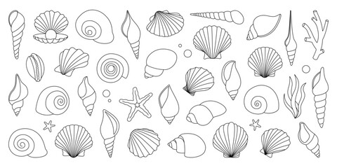 Sea shells outline set. Tropical underwater shells. Freshwater algae, corals, starfish, sea mollusks, scallop, pearls. Vector illustration.