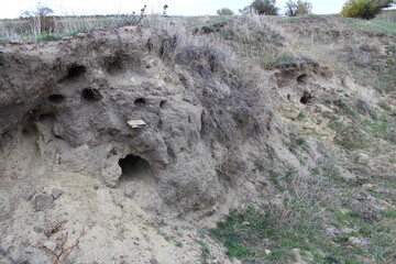 A hole in the ground