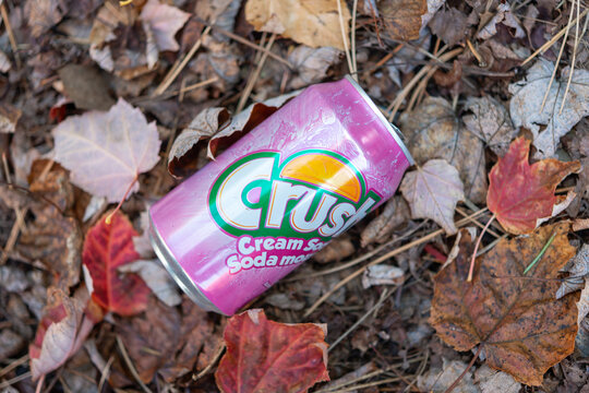 discarded aluminum can of Crush pop Cream Soda flavor on dead leaves