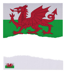 Wales flag on isolated on torn paper