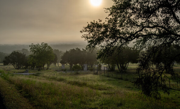 Trees and grass in a field under a foggy hazy sky back illuminated by the morning sun still low in the sky, Park Ridge, Boerne, Hill Country, Texas