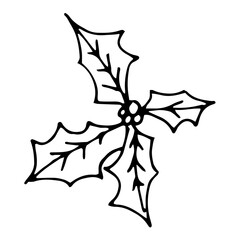White and black simple line vector design doodle elements. Holly leaves with berries branch