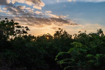Sunrise and golden hour views of the trees in the Mayakoba nature preserve in the Riviera Maya,...