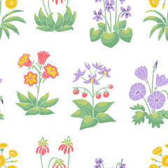 Seamless pattern with canary islands flowers on white background. Vintage floral wallpaper