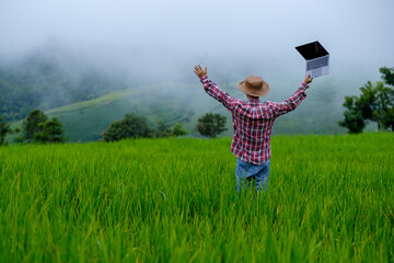A farmer is raising his hand in the middle of a green rice field with a laptop in his hand. Farmers are happy about the good rice production because technology has been used to help in rice farming. a
