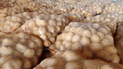 The stack of potato seeds inside an orange mesh bag