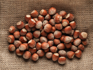 Many Hazelnuts on a sack close-up