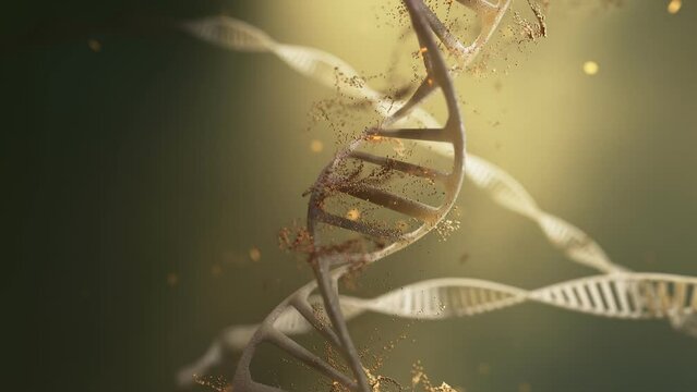 Golden DNA Helix with Rotating Strands. Scientific Research. 3D rendering