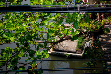 Naklejka premium River side