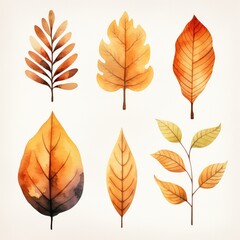 Collection of autumn leaves, watercolor illustration, set