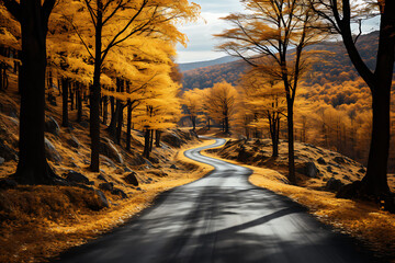 Carretera solitaria cruzando un bosque en otoño lleno de hojas amarillas