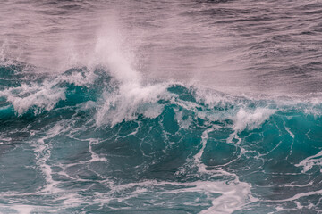raging waves in the Pacific Ocean