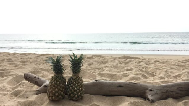 Pineapples in front of beautiful sea view.