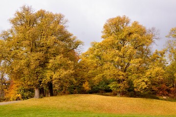 Fototapeta premium Park in Stockholm area in autumn