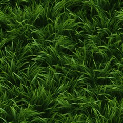 Seamless grass pattern for virtual landscapes.