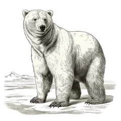 Foto op Canvas Vintage-style Polar Bear Engraving on White - 1800s Illustration © Morphart
