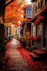 Fototapeta na wymiar Fall charm in cozy street.