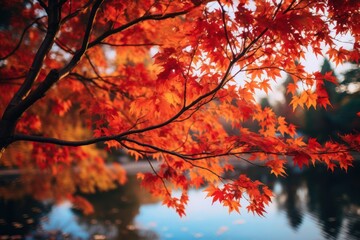 Autumn's Bright Leaves