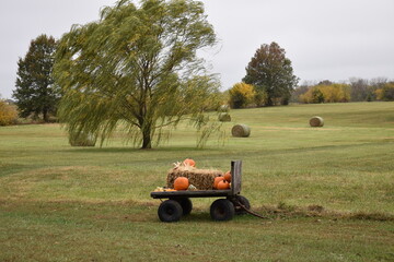 Fall Farm Scene