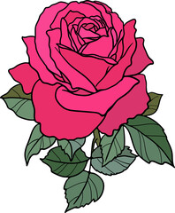Decorative Rose Flower