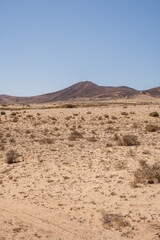 Desert landscape of white sand and desert bushes. Mountains in the background. Clear sky. Lanzarote, Canary Islands, Spain.