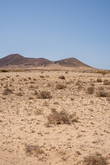 Desert landscape of white sand and desert bushes. Mountains in the background. Clear sky. Lanzarote, Canary Islands, Spain.