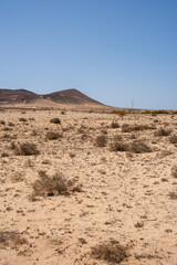 Desert landscape of white sand and desert bushes. Mountains in the background. Clear sky. Lanzarote, Canary Islands, Spain.