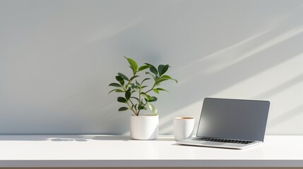 A minimalist workspace: a silver laptop, white mouse, and a single potted plant casting a shadow.