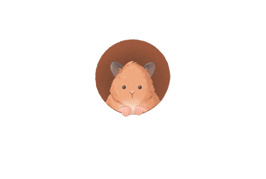 Cute hamster emblem  in the raund frame illustration