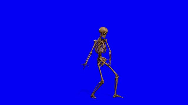 skeleton is dancing a 80s classic dance in a blue chroma key background