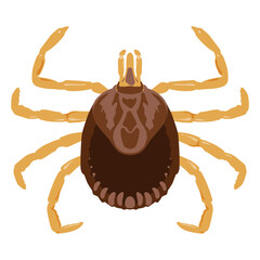 Tick parasitic arachnids feeding on the blood of mammals, birds,reptiles and amphibians illustration