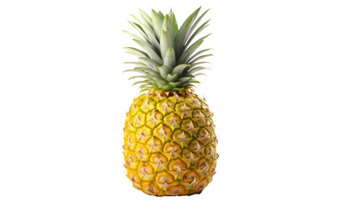 Fresh Pineapple Graphic on a Clear Surface or PNG Transparent Background.
